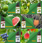 Refreshing Fruit Fragrance Oil Set - Essential Blends for Diffusers, Candle & Soap Making - Includes Peach, Pear, Pineapple, Gre