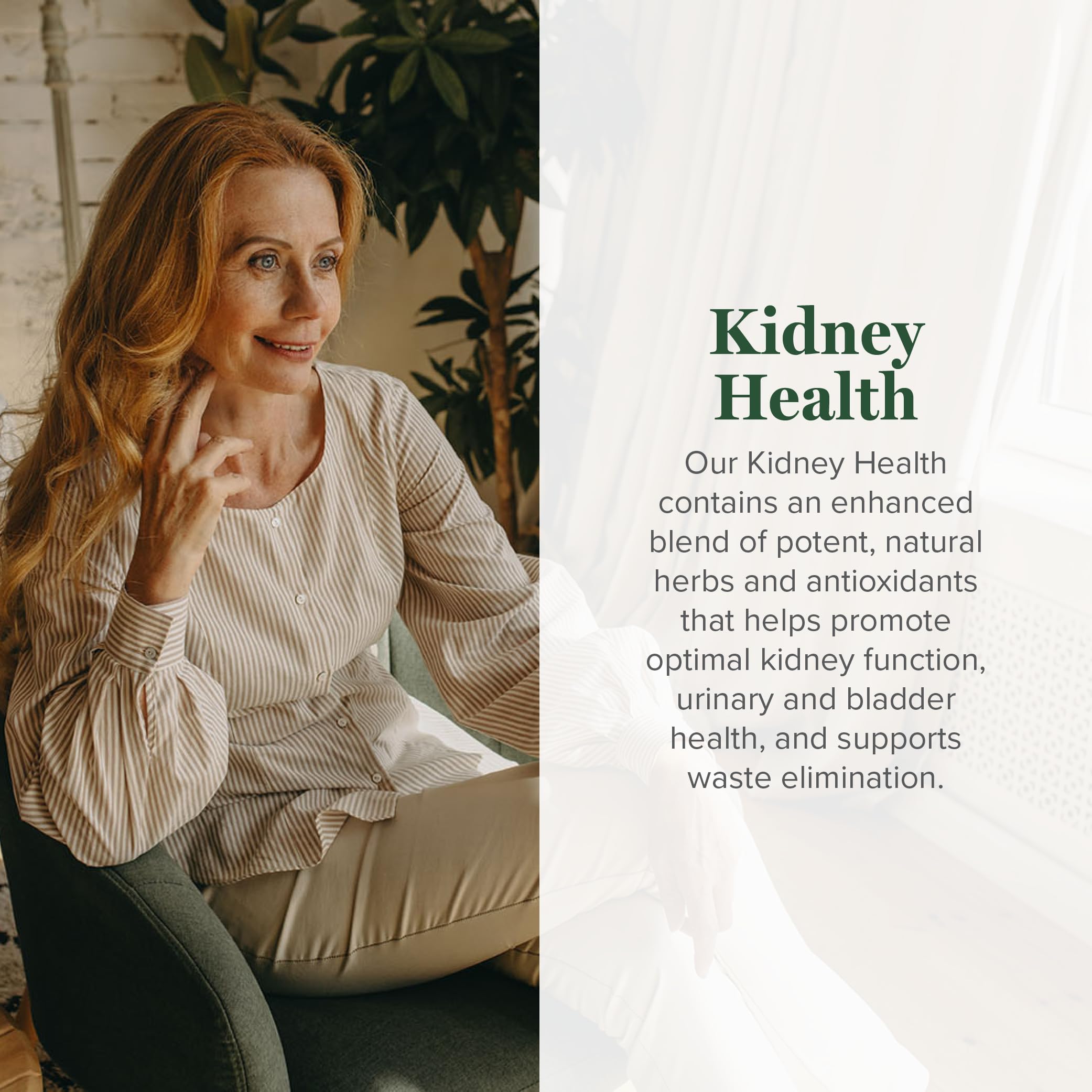 Global Healing USDA Organic Kidney Health with Cranberry & Hydrangea - Kidney Cleanse Liquid Supplement & Stones Dissolver for U