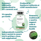 Nature Restore Rosemary Extract Supplement, Standardized to 20 Percent Carnosic Acid, 90 Capsules, Manufactured in USA, Non GMO,