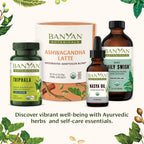 Banyan Botanicals Pitta Massage Oil - Organic Massage Oil Infused with Ayurvedic Herbs - with Gotu Kola and Guduchi (Tinospora c