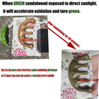 Moreinday Massage Comb Loc Comb Wooden Scalp Massager Wood Head Massager Scalp Gua Sha Comb for Women Sandalwood Comb for Men