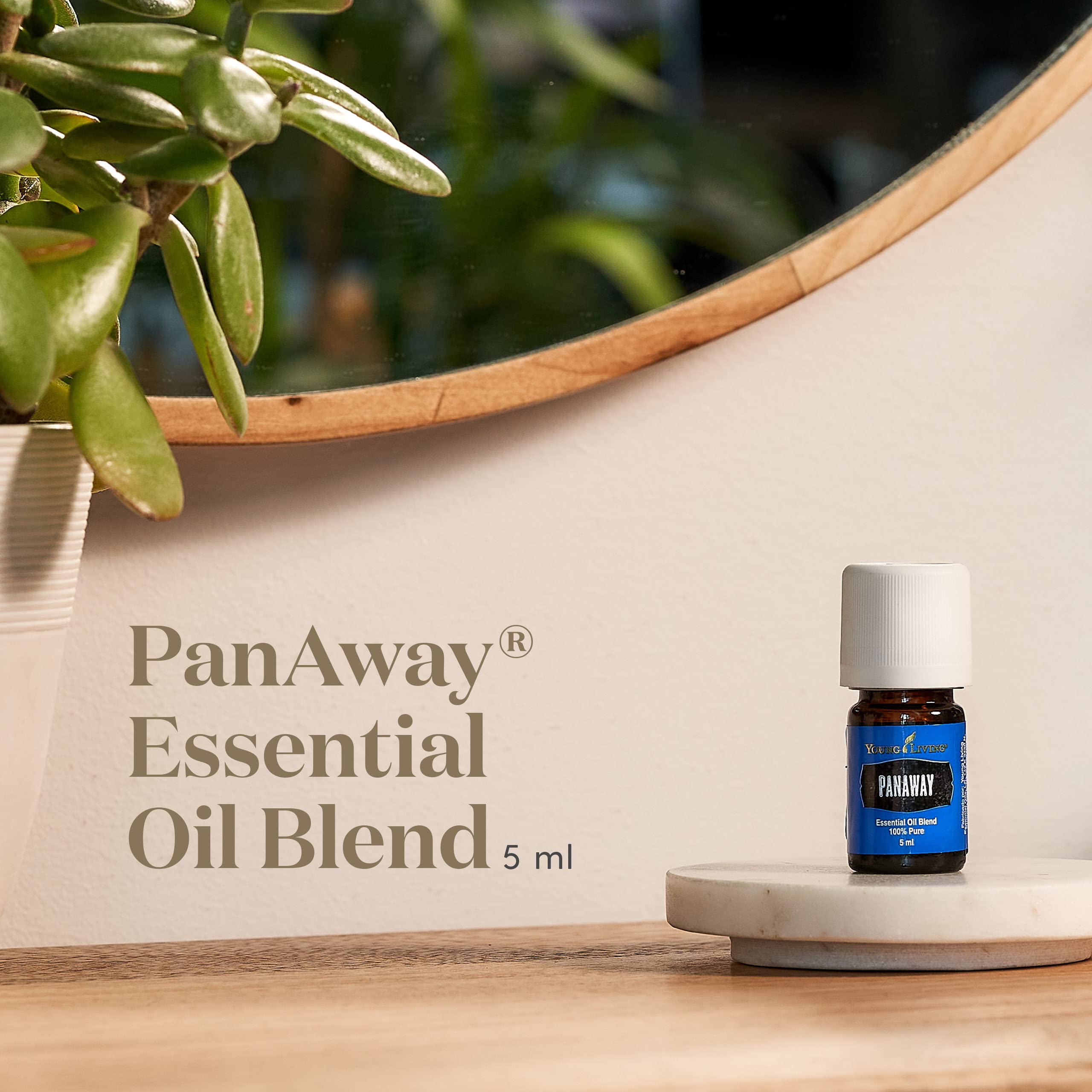Young Living PanAway Essential Oil Blend - Clove, Helichrysum, Peppermint, and Wintergreen - 5 ml