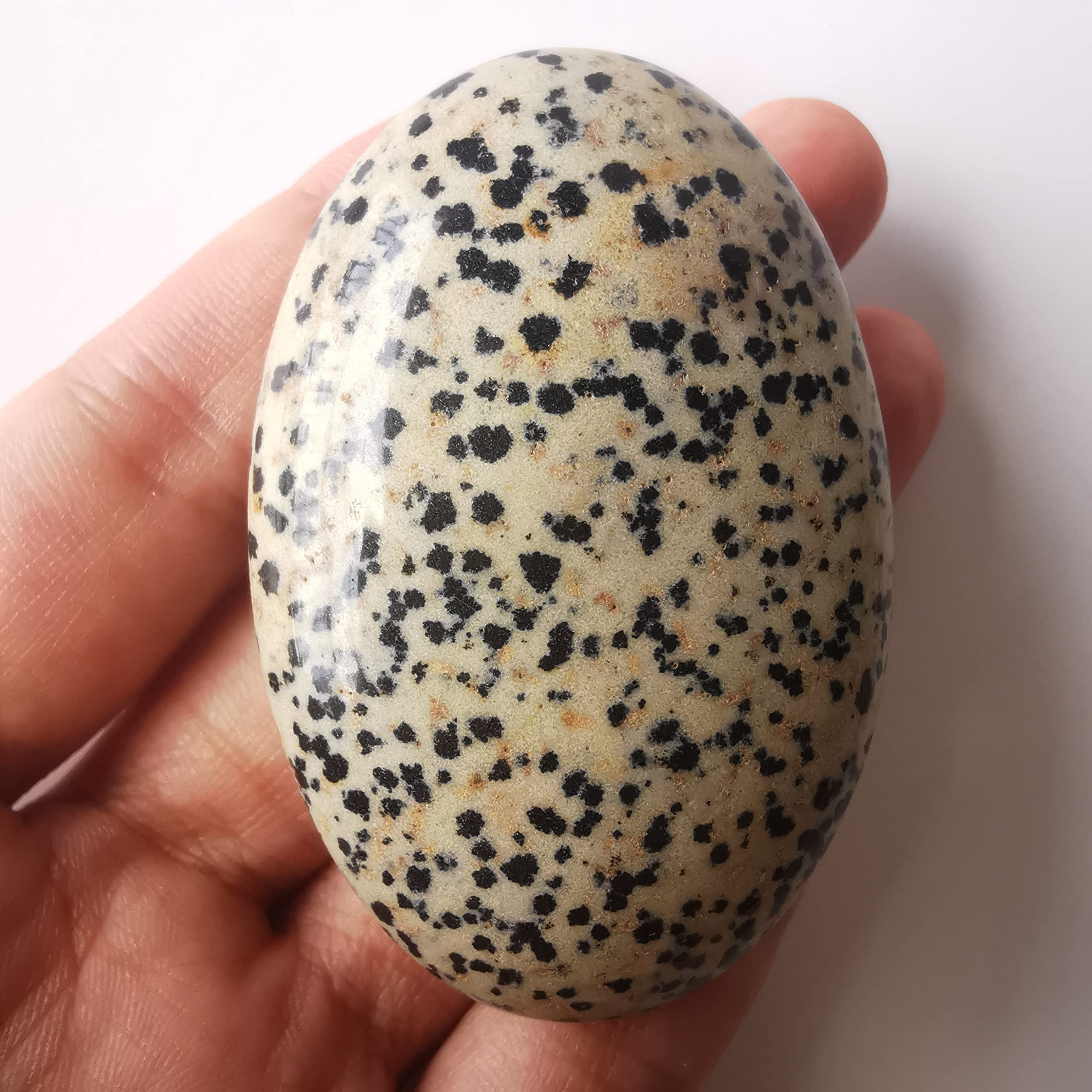 Loveliome Natural Dalmation Jasper Oval Polished Worry Stones, Healing Crystal Indoor Fountain Stones Massage Energy Anxiety Rel