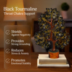 YATSKIA Black Tourmaline Crystal Tree, Gemstone Tree Home Office Decor, Spiritual Decor, Crystal Gifts
