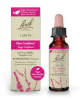 Bach Original Flower Remedies, Larch (Non-Alcohol Formula) - Have Confidence - Natural Homeopathic Flower Essence for Emotional 