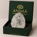 Anima Clear Quartz Crystal - Large 1.6-2 Natural Raw Clear Quartz Stone for Clarity, Energy & Amplification - Ethically Sourced,