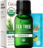 Gya Labs USDA Certified Organic Tea Tree Essential Oil for Hair - 100% Pure Natural Australian Organic Tea Tree Oil for Skin, Fa