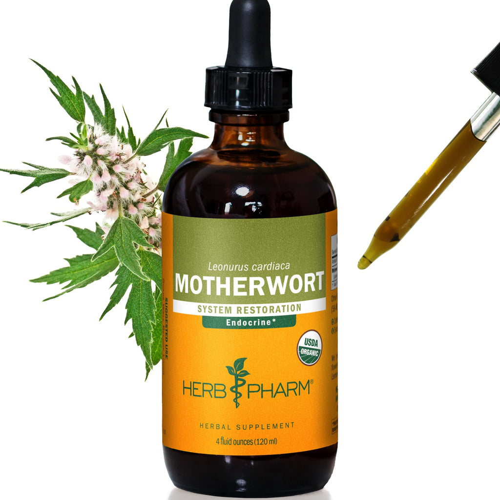 Herb Pharm Certified Organic Motherwort Liquid Extract for Endocrine System Support - 4 Ounce