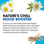 MediNatura WellMind Natural Calming Remedy Helps Ease Stress, Tension & Nervousness - 10 Homeopathic Soothing Botanicals Help Ca