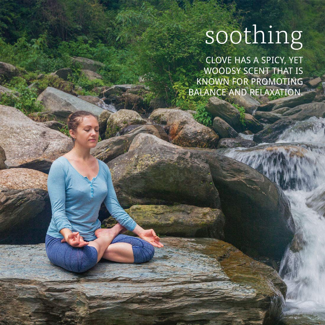 NOW Clove Oil, 1 Fl Oz (Pack of 2)