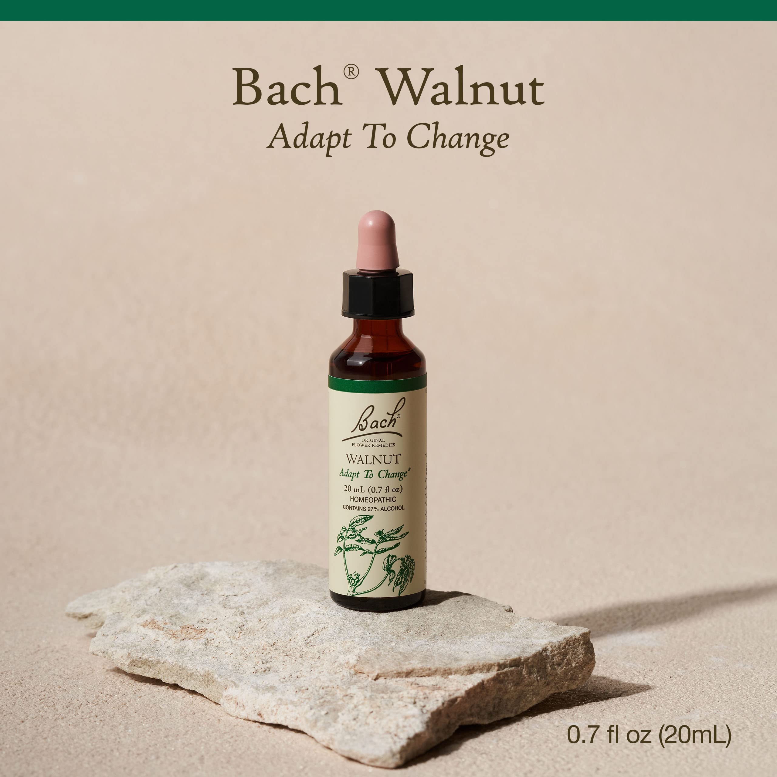 Bach Original Flower Remedies, Walnut for Adapting to Change, Natural Homeopathic Flower Essence, Holistic Wellness and Stress R