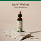 Bach Original Flower Remedies, Walnut for Adapting to Change, Natural Homeopathic Flower Essence, Holistic Wellness and Stress R