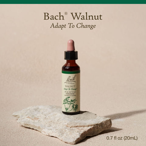 Bach Original Flower Remedies, Walnut for Adapting to Change, Natural Homeopathic Flower Essence, Holistic Wellness and Stress R