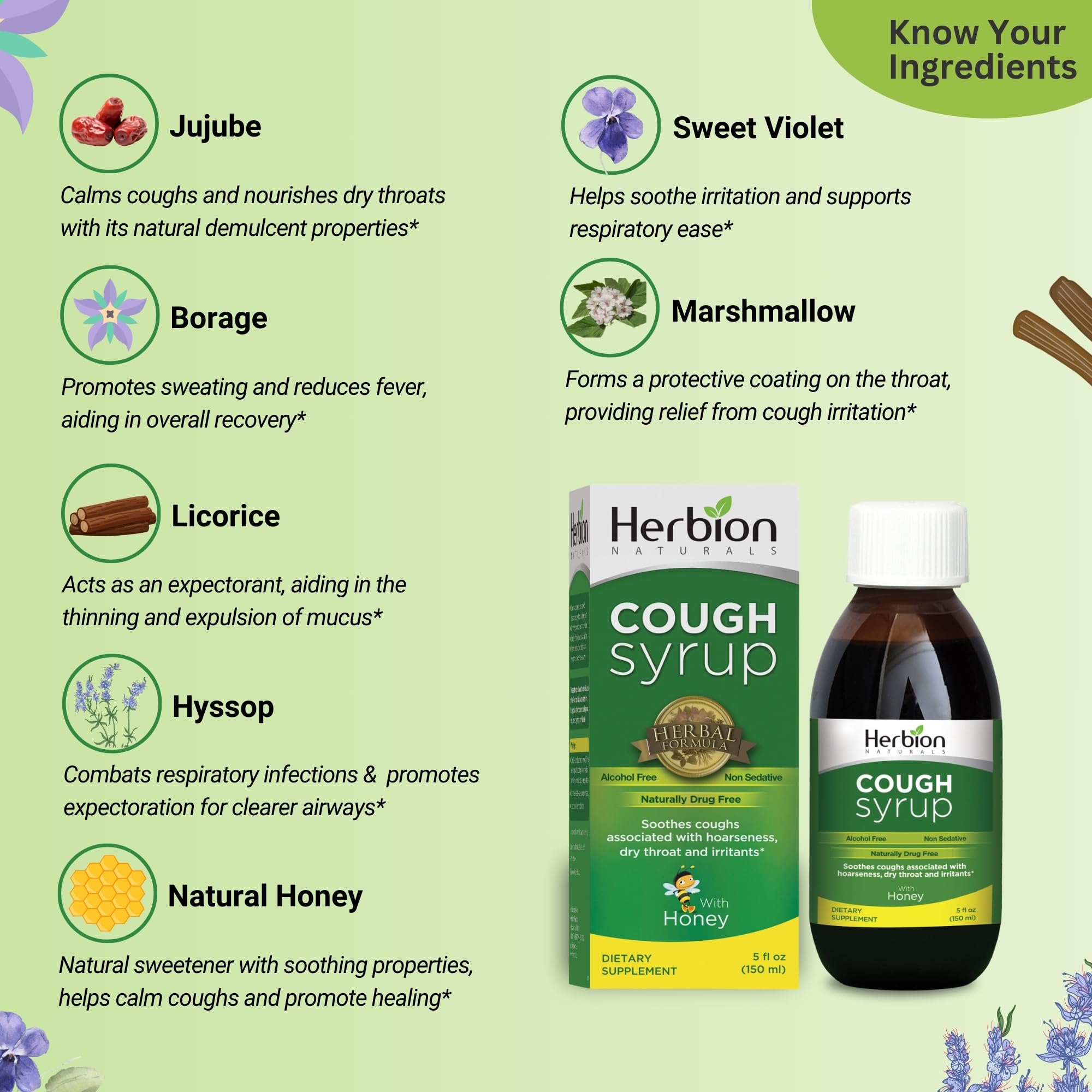 HERBION Naturals Cough Syrup with Honey, Relieves Cough & Soothes Sore Throat, Optimizes Immune, Promotes Lung Function, for Adu