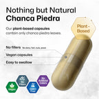 BIO KRAUTER Chanca Piedra Stone Breaker Capsules - 1200 mg Stonebreaker for Kidney Cleanse - 250 Chanca Piedra para Los Riones C