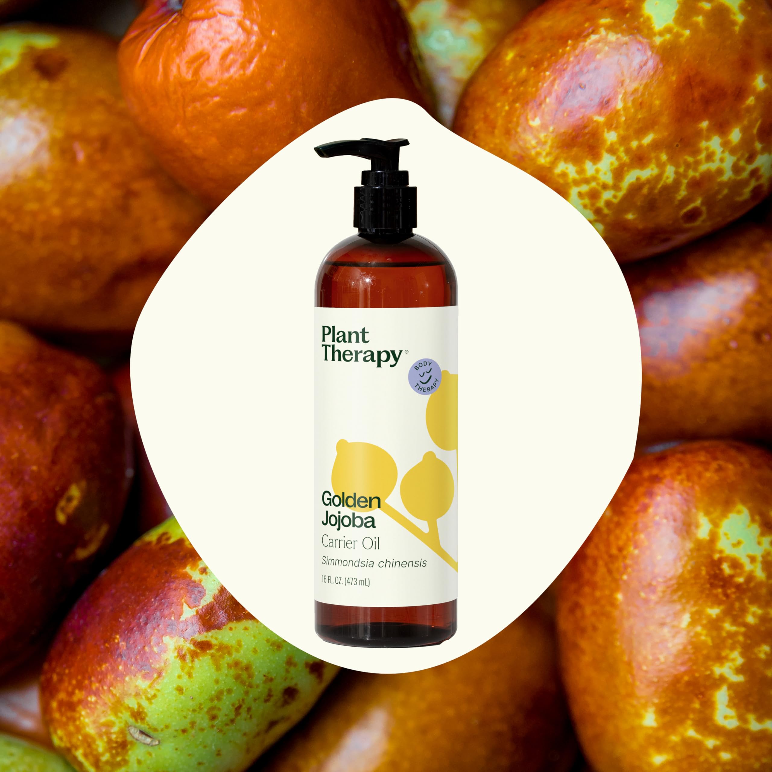 Plant Therapy Jojoba Golden Carrier Oil 16 oz 100% Pure, Cold-Pressed, Natural and GMO-Free Moisturizer and Carrier Oil for Esse