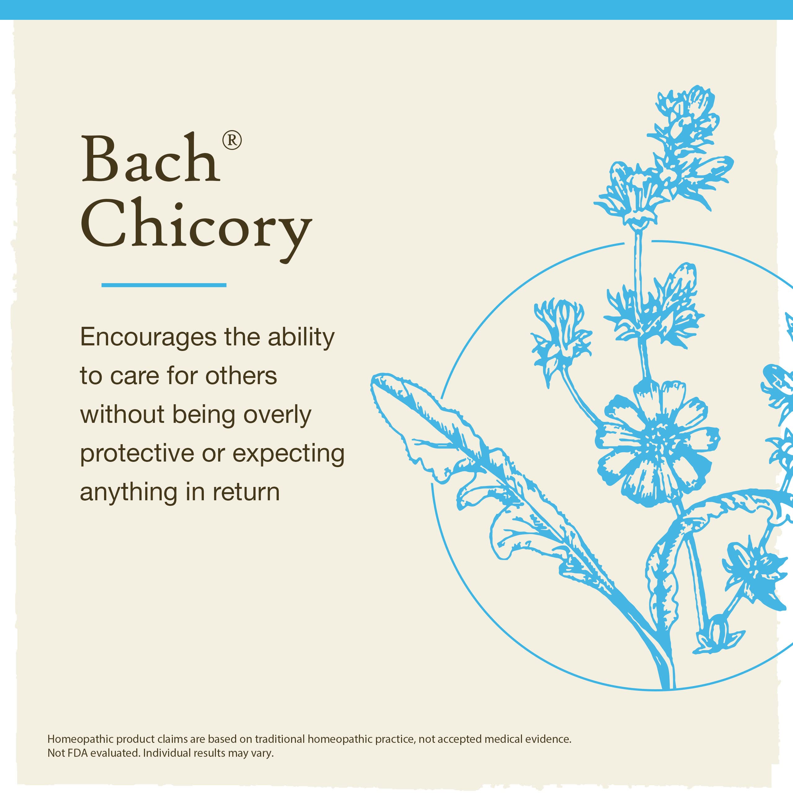 Bach Original Flower Remedies, Chicory for Unconditional Love, Natural Homeopathic Flower Essence, Holistic Wellness and Stress