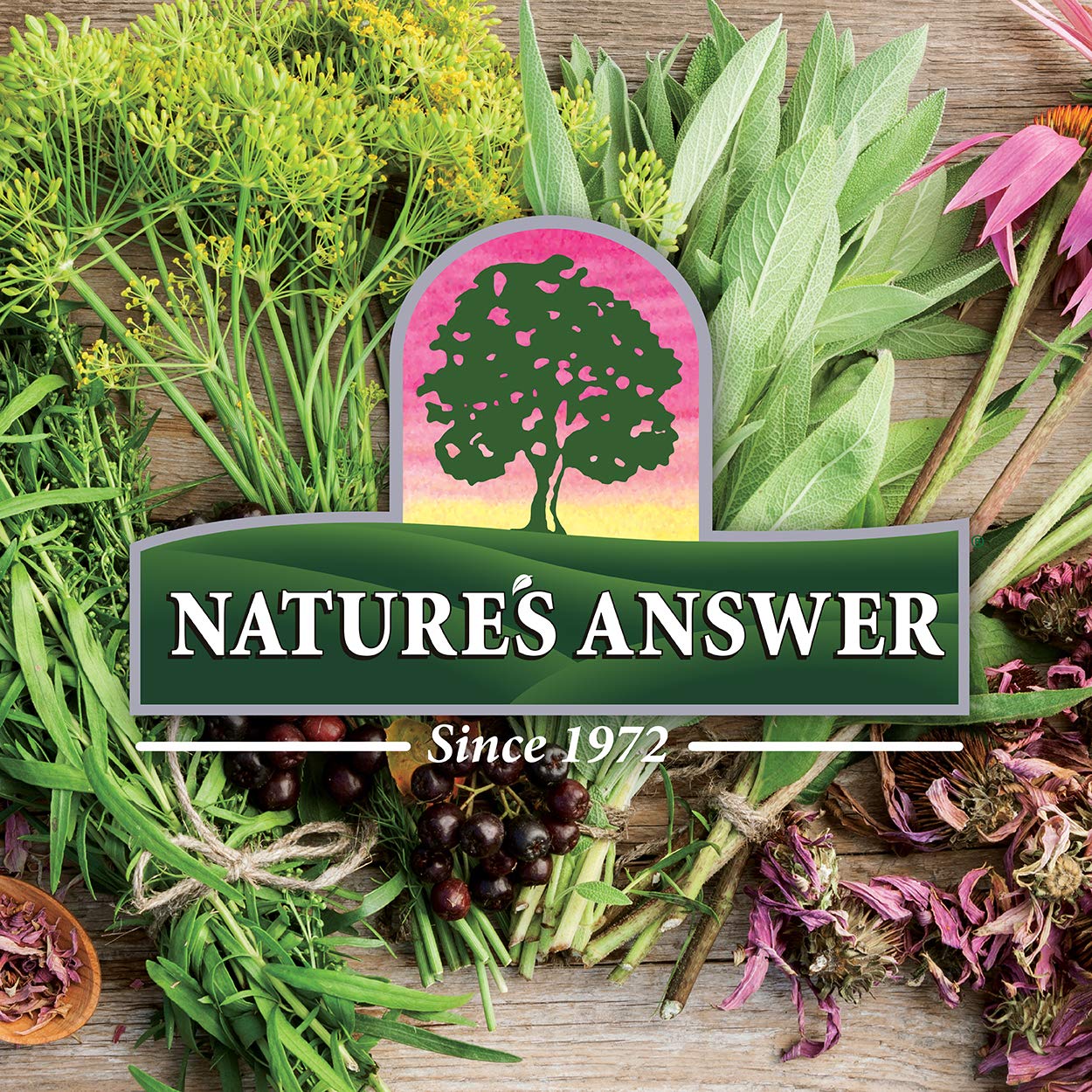 Nature's Answer Alcohol-Free Burdock Root 2000mg 1oz Extract | Herbal Supplement | Promotes Overall Wellbeing | Gluten-Free, Non