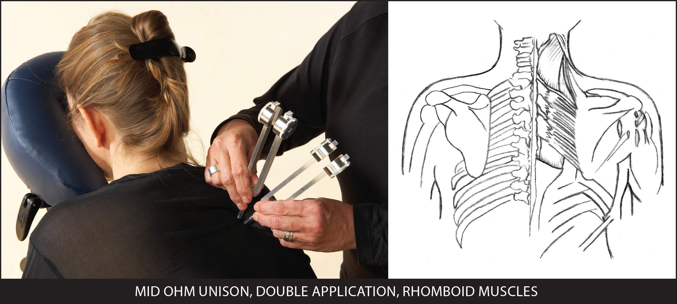 Ohm Therapeutics Massage Therapy Chart - A Guide for Bodywork Practitioners and Sound Therapy demonstrating Ohm Tuning Fork Appl