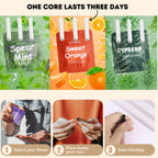 Healfs Quit Smoking Inhaler | Organic Plant Essential Oil Extract | Tobacco-Free | Nicotine-Free | Smokeless Air Inhaler