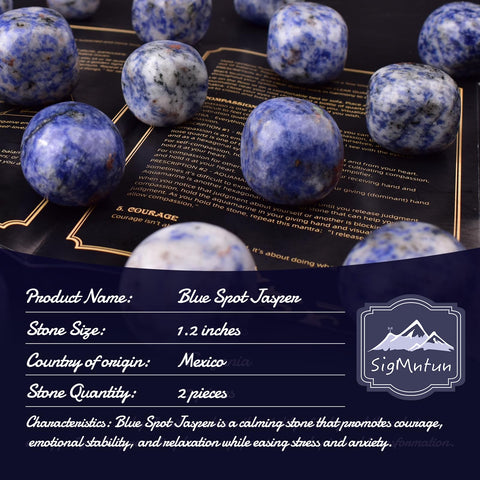 SigMntun Polished Blue Spot Jasper Crystal Stones - 2 Pieces 1.2 inches Super Large Handpicked Natural Tumbled Gemstones for Rei