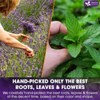 Premium Lavender Mint Tea Bags