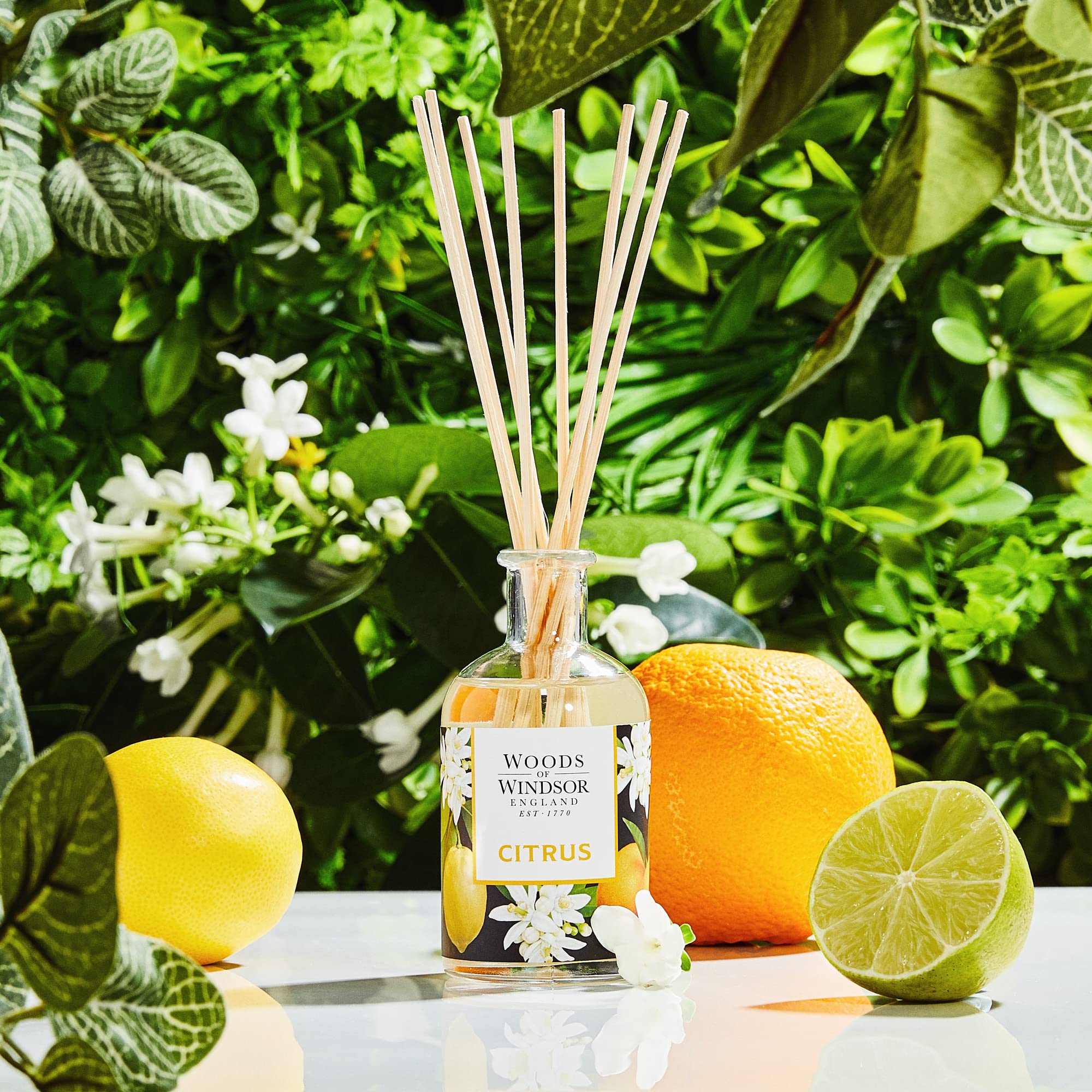 WOODS OF WINDSOR CITRUS by Woods of Windsor DIFFUSER 3.4 OZ