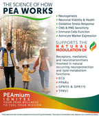 Palmitoylethanolamide 450mg Comfort Mobility Nerves Cognitive & Immune Support - Micronized High Absorption - All Natural Pea -
