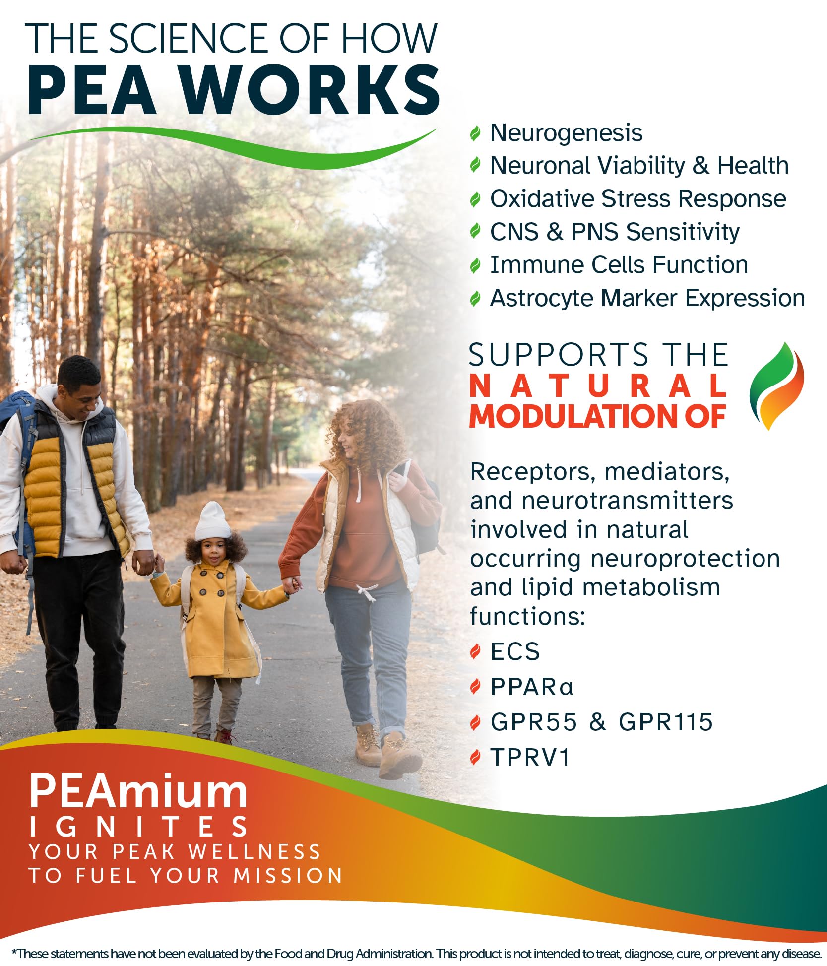 Palmitoylethanolamide 450mg Comfort Mobility Nerves Cognitive & Immune Support - Micronized High Absorption - All Natural Pea -