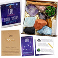 DANCING BEAR Leo Zodiac Healing Crystals Gift Set (14 Pc): 9 Stones, 18K Gold-Plated Constellation Necklace, Meteorite, Succulen