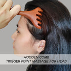 iunxkmi Head Massager Scalp 2 Pack, Protable Head Scratcher Massager for Relaxation & Stress Reduction, Scalp Wood Comb Gift for