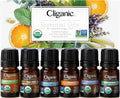 Cliganic USDA Organic Aromatherapy Essential Oils Set (Top 6), 100% Pure Natural - Peppermint, Lavender, Eucalyptus, Tea Tree, L