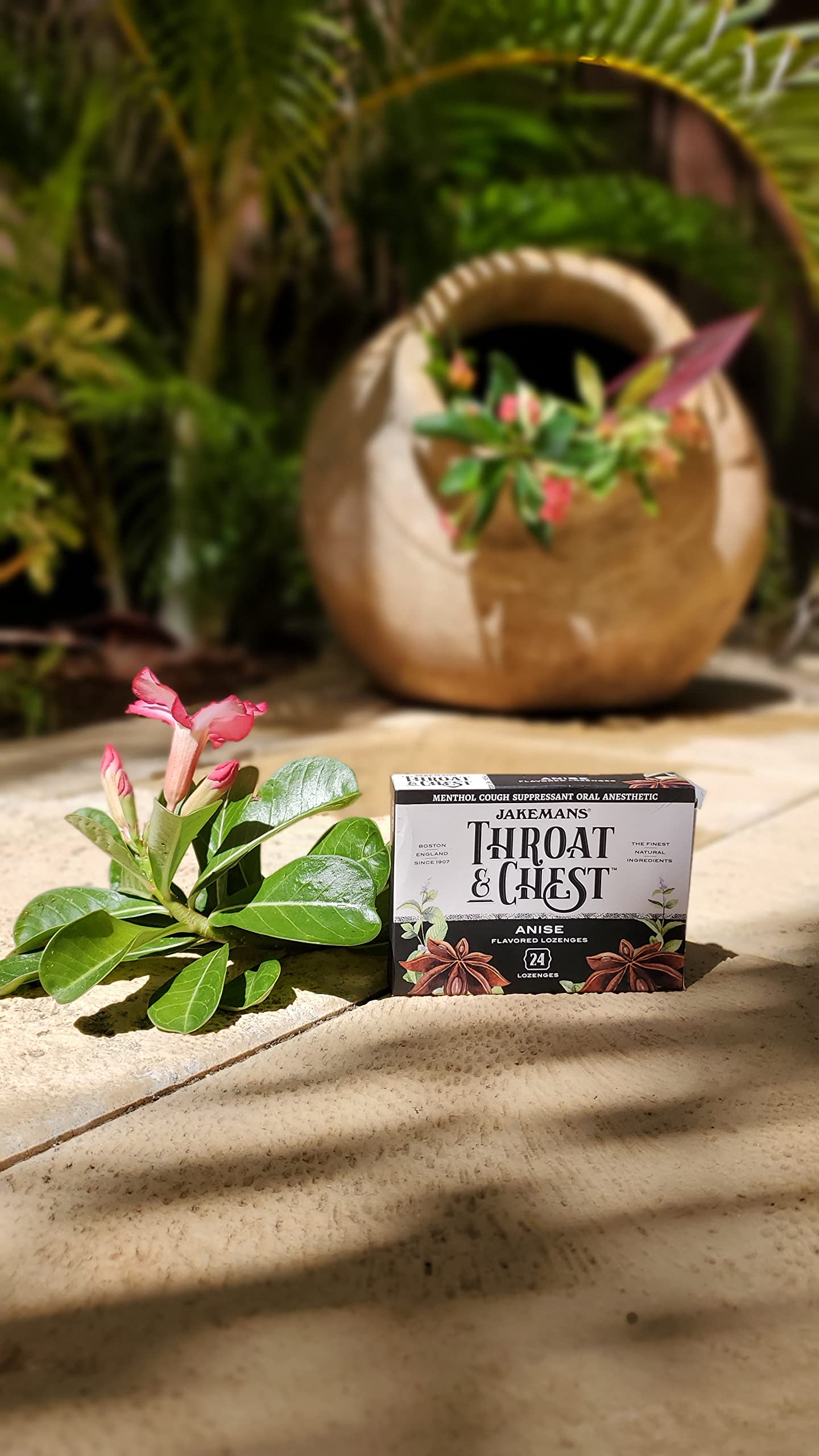 Jakemans Anise Throat & Chest Lozenges Cough Drops - Cough, Sore Throat and Seasonal Distress Soothing Relief - Liquid Drop Shap