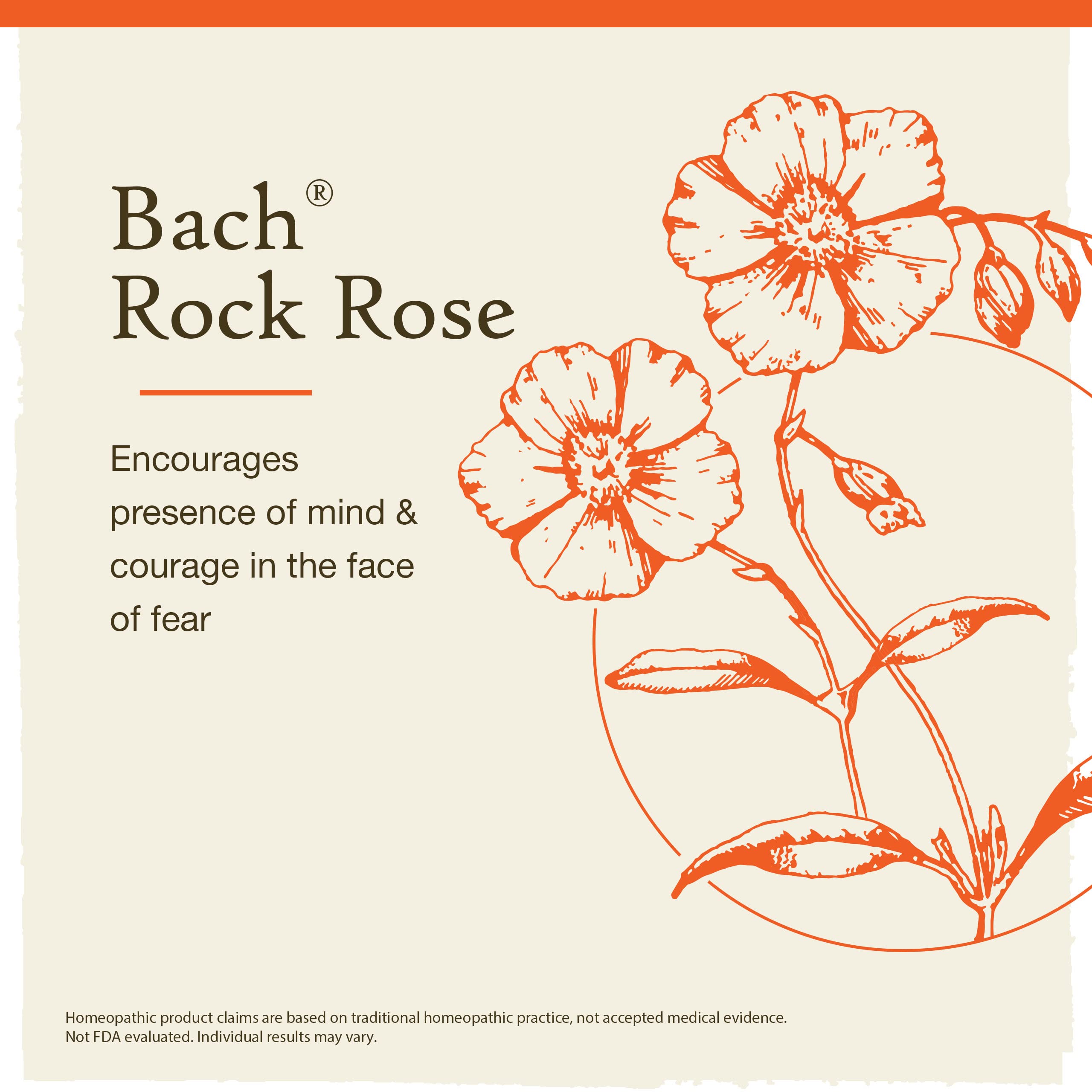 Bach Original Flower Remedy Dropper 20 ml Flower Essence, Rock Rose, 0.7 Fl Oz