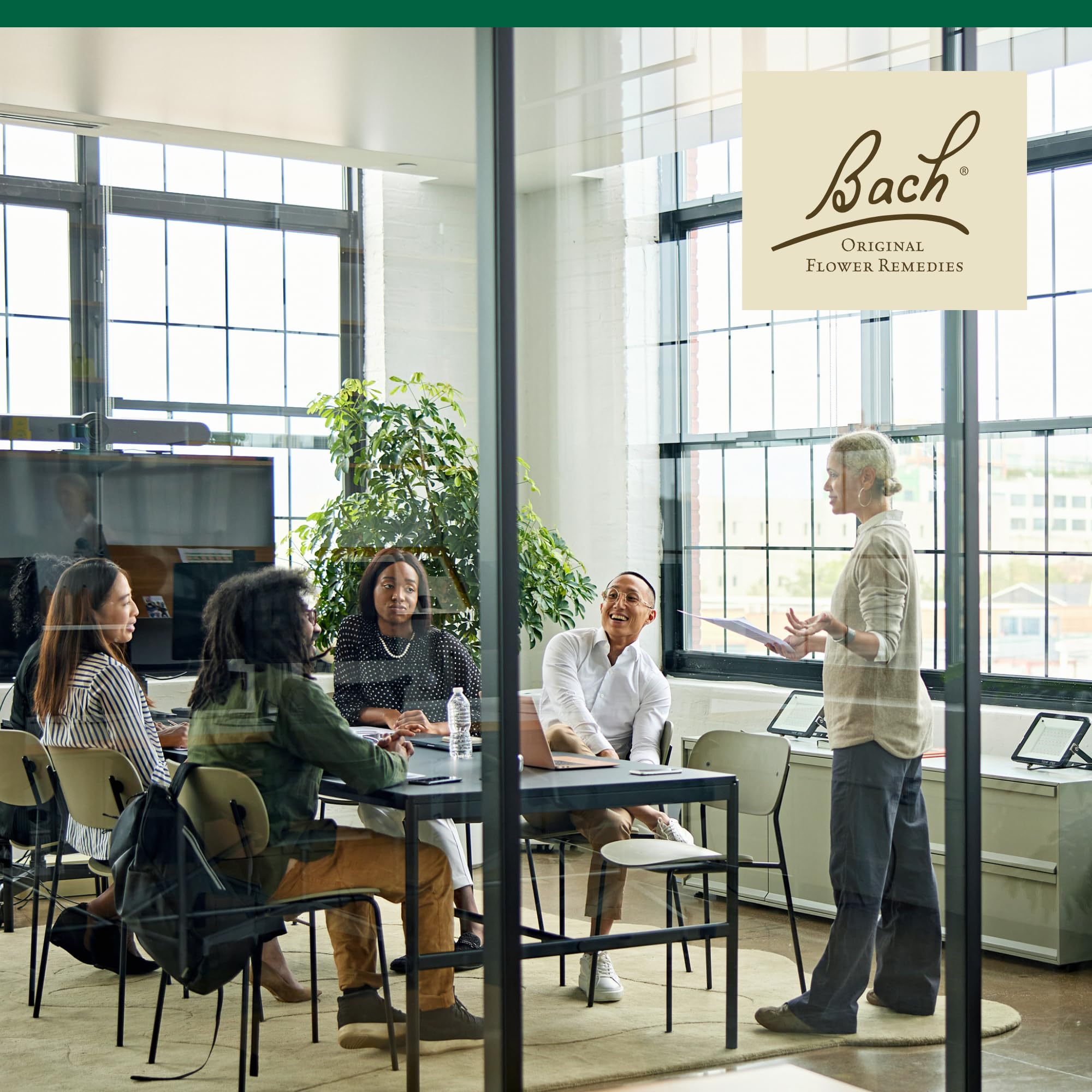 Bach Original Flower Remedies, Centaury - Be Assertive - Natural Homeopathic Flower Essence for Emotional Balance - Vegan, Glute