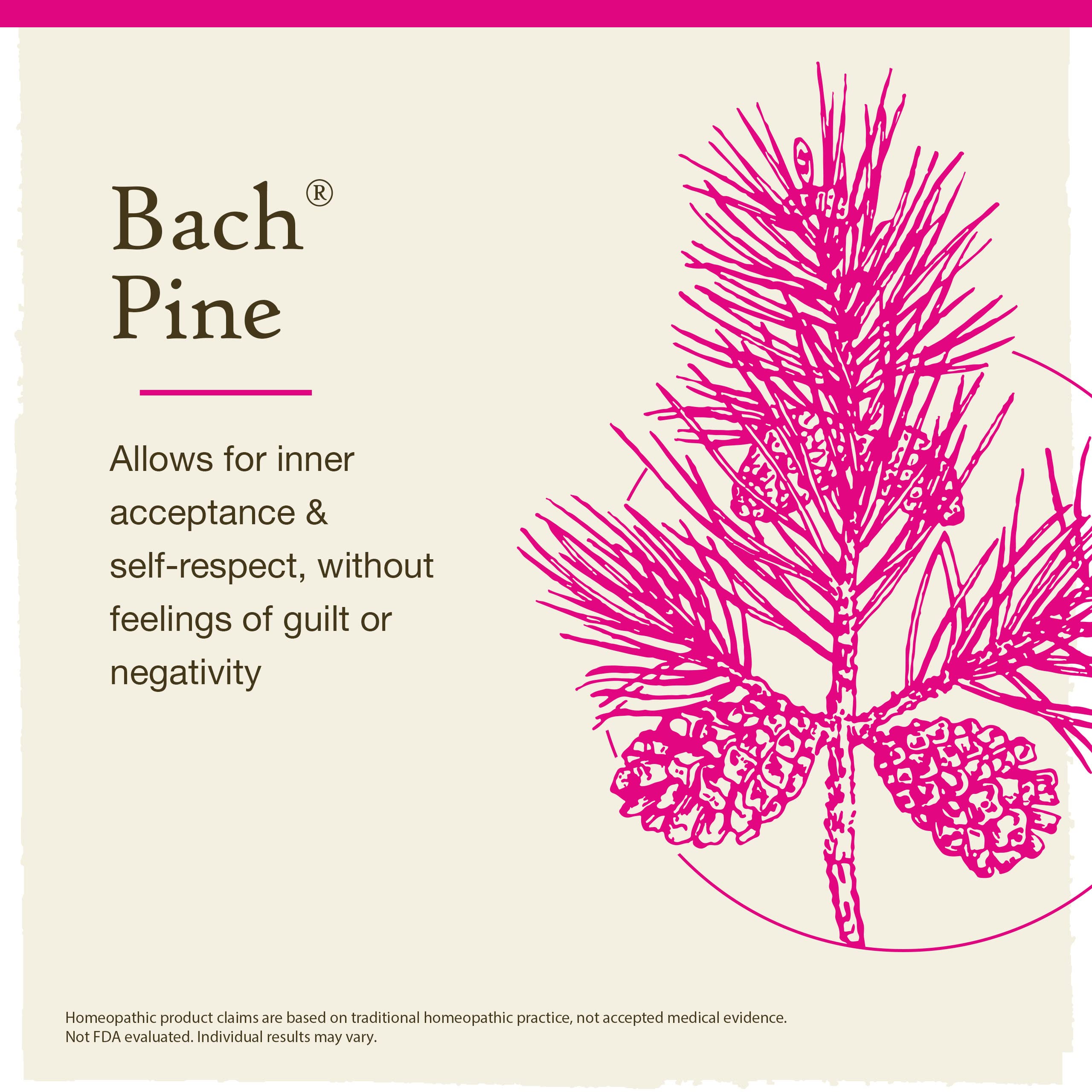 Bach Original Flower Remedies, Pine for Self Respect, Natural Homeopathic Flower Essence, Emotional Wellness and Stress Relief,