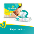 Pampers Swaddlers Diapers Size 5, 92 Count