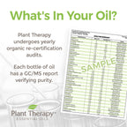 Plant Therapy USDA Certified Organic Turmeric CO2 Essential Oil 10 mL (1/3 oz) 100% Pure, Undiluted, Therapeutic Grade