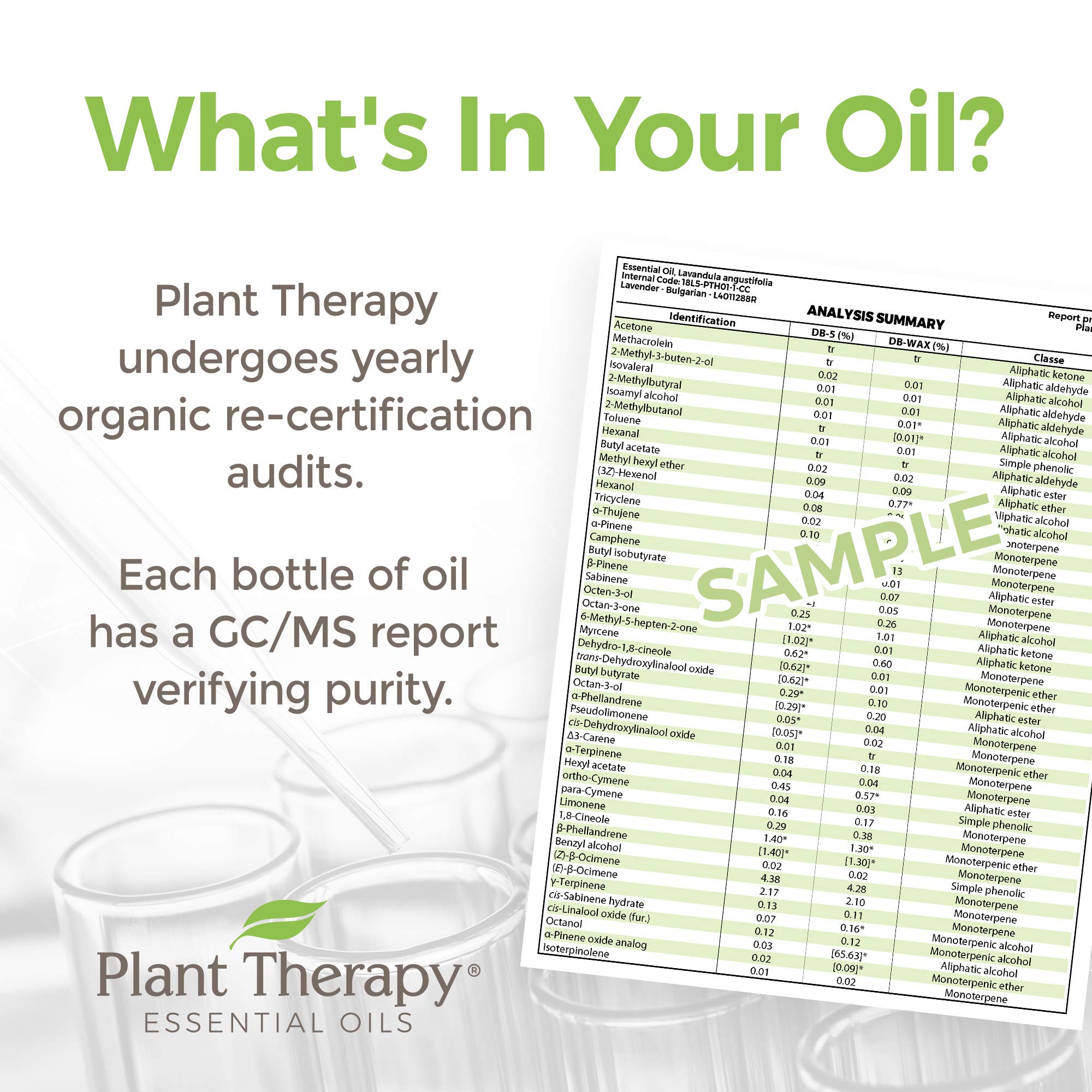 Plant Therapy USDA Certified Organic Turmeric CO2 Essential Oil 10 mL (1/3 oz) 100% Pure, Undiluted, Therapeutic Grade