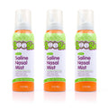 Boogie Saline Nasal Spray Mist for Baby and Kids, Allergy Relief, Nasal Decongestant, Made with Saline, Fresh, 3.1 Ounce (Pack o