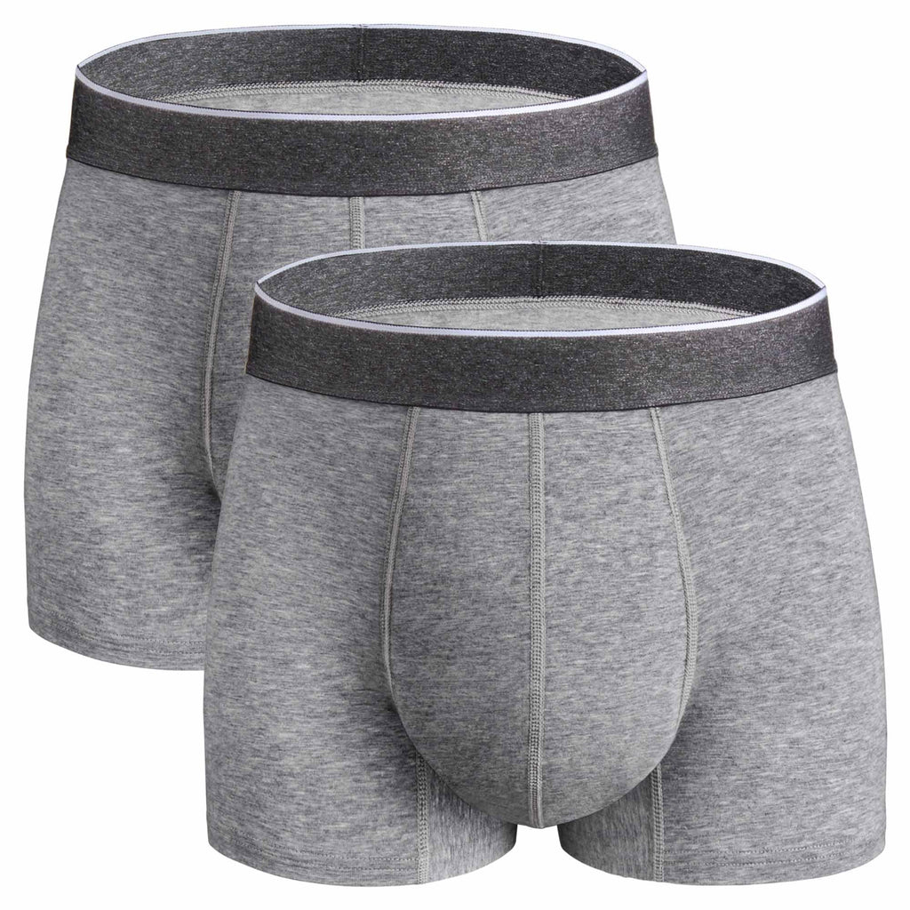 REELINDRY Mens Incontinence Underwear Washable, 2.3 oz Leak Proof Absorbent Odor Neutralization Briefs for Bladder Leak 2 Pack(G