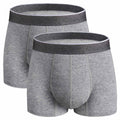 REELINDRY Mens Incontinence Underwear Washable, 2.3 oz Leak Proof Absorbent Odor Neutralization Briefs for Bladder Leak 2 Pack(G