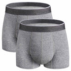 REELINDRY Mens Incontinence Underwear Washable, 2.3 oz Leak Proof Absorbent Odor Neutralization Briefs for Bladder Leak 2 Pack(G