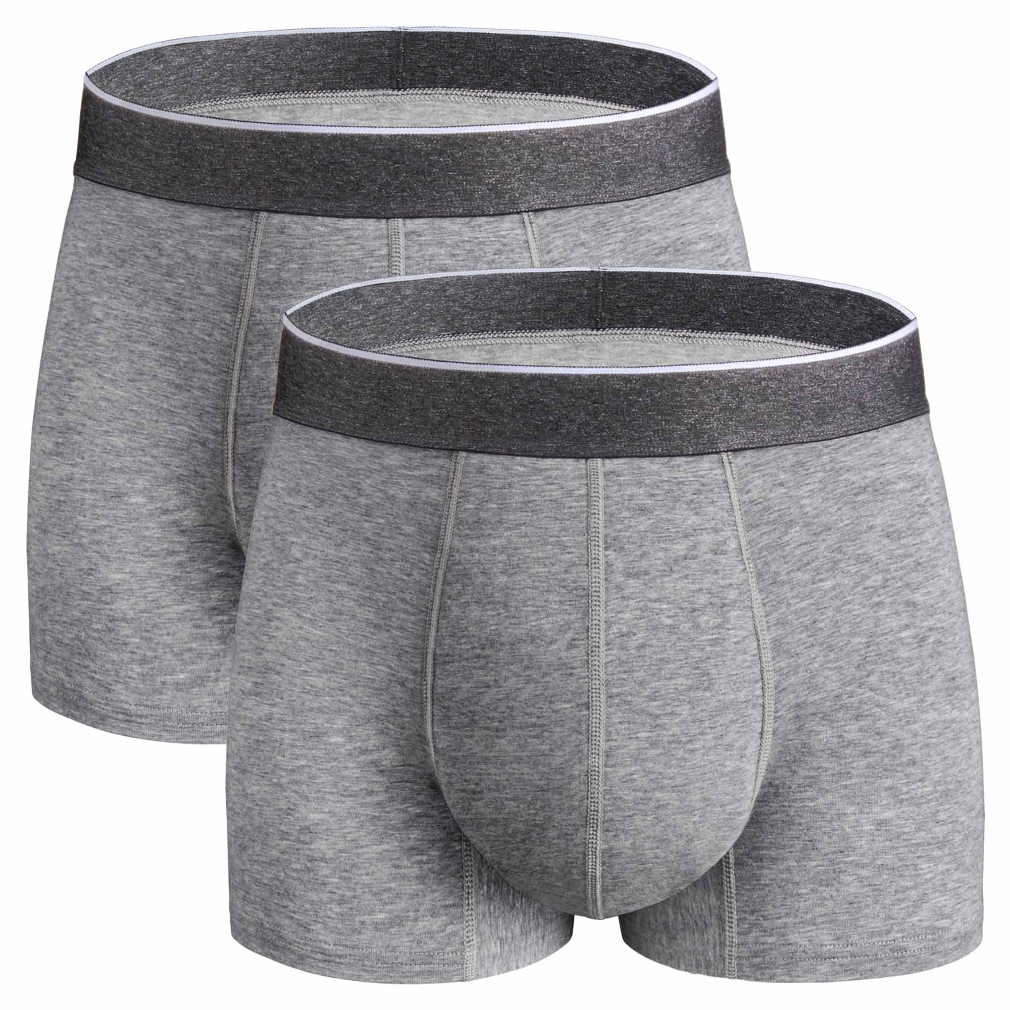 REELINDRY Mens Incontinence Underwear Washable, 2.3 oz Leak Proof Absorbent Odor Neutralization Briefs for Bladder Leak 2 Pack(G
