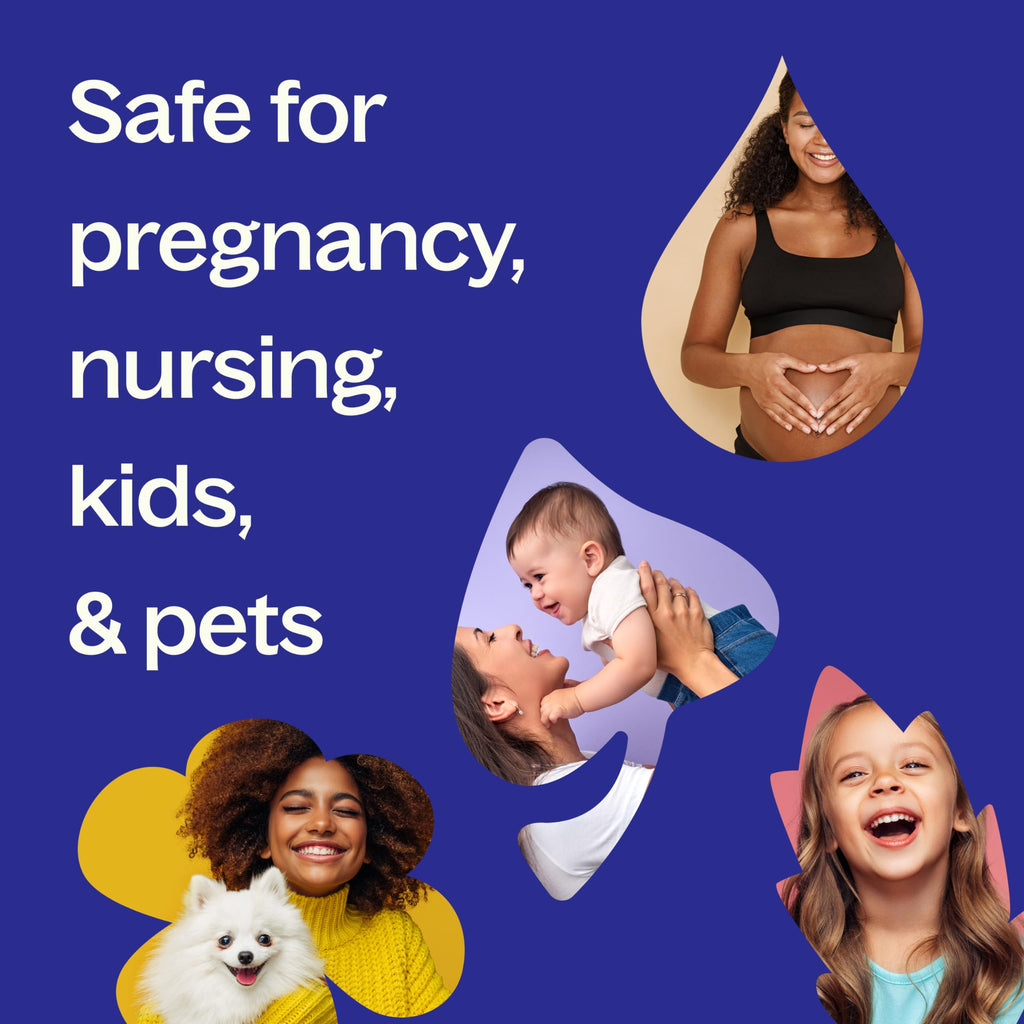 Plant Therapy KidSafe Calming The Child Essential Oil Blend 10 mL (1/3 oz) Relaxation and Soothing Blend, Tangerine, Lavender, &