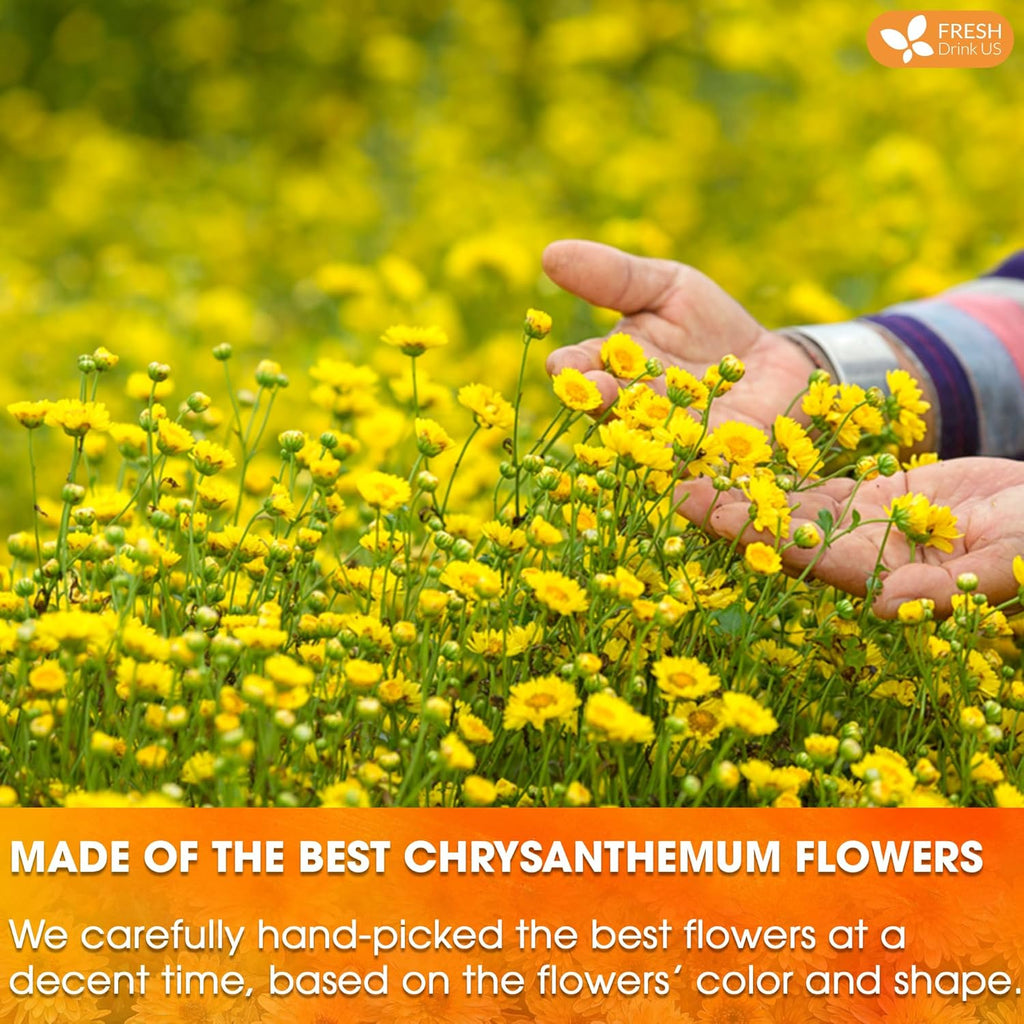 Premium Chrysanthemum Flower Tea Bags. Chrysanthemum Flower Herbal Tea. No Sugar, No Caffeine, No Gluten, Vegan.