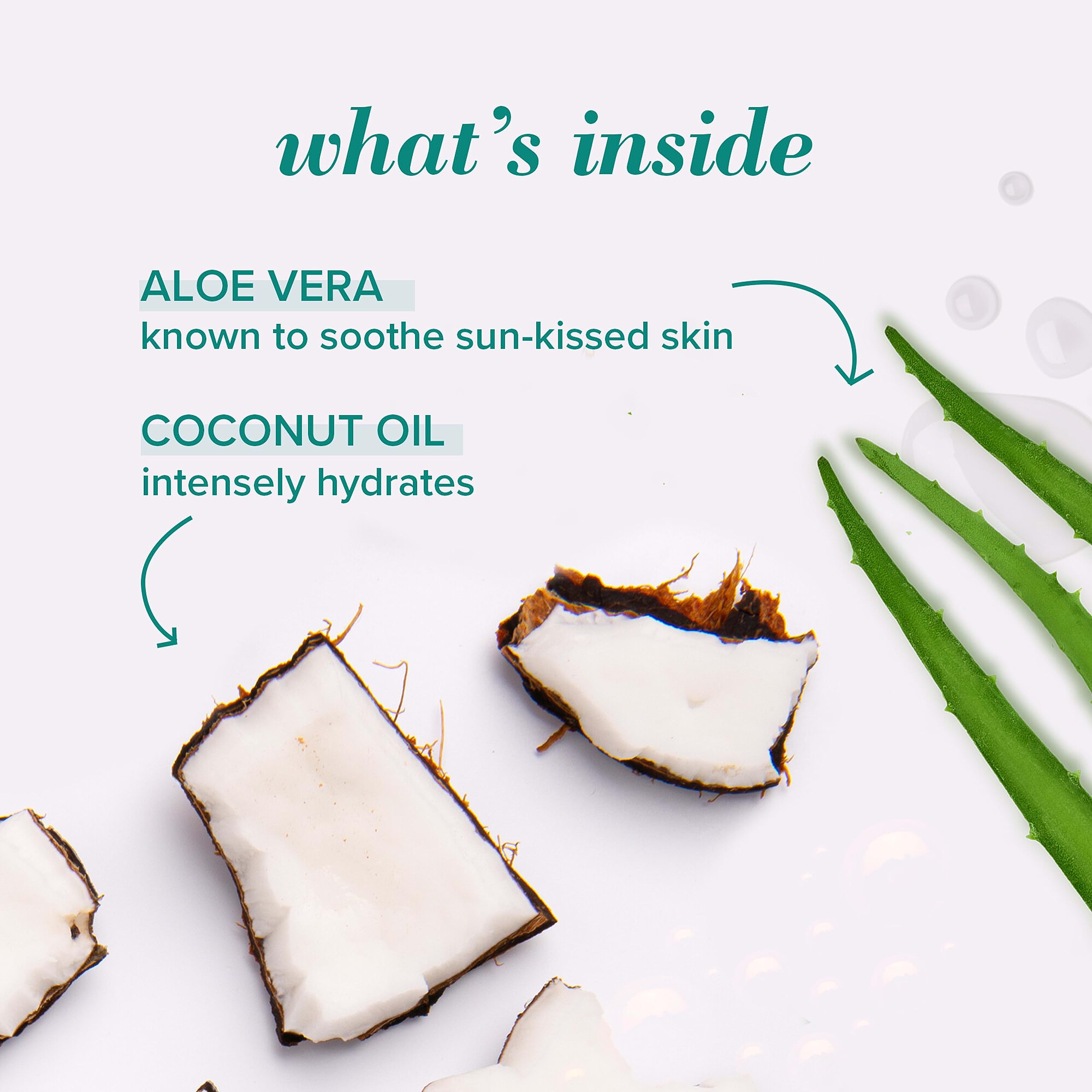 Burts Bees Sun Care Lip Balm, After Sun Soother, Soothing Aloe, 100% Natural Origin, 1 Tube in Blister Box