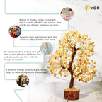 PYOR Aventurine Yellow, Feng Shui Crystals and Stones, Real Gem Tree Energy, Good Luck Money Crystals, Spiritual and Living Room