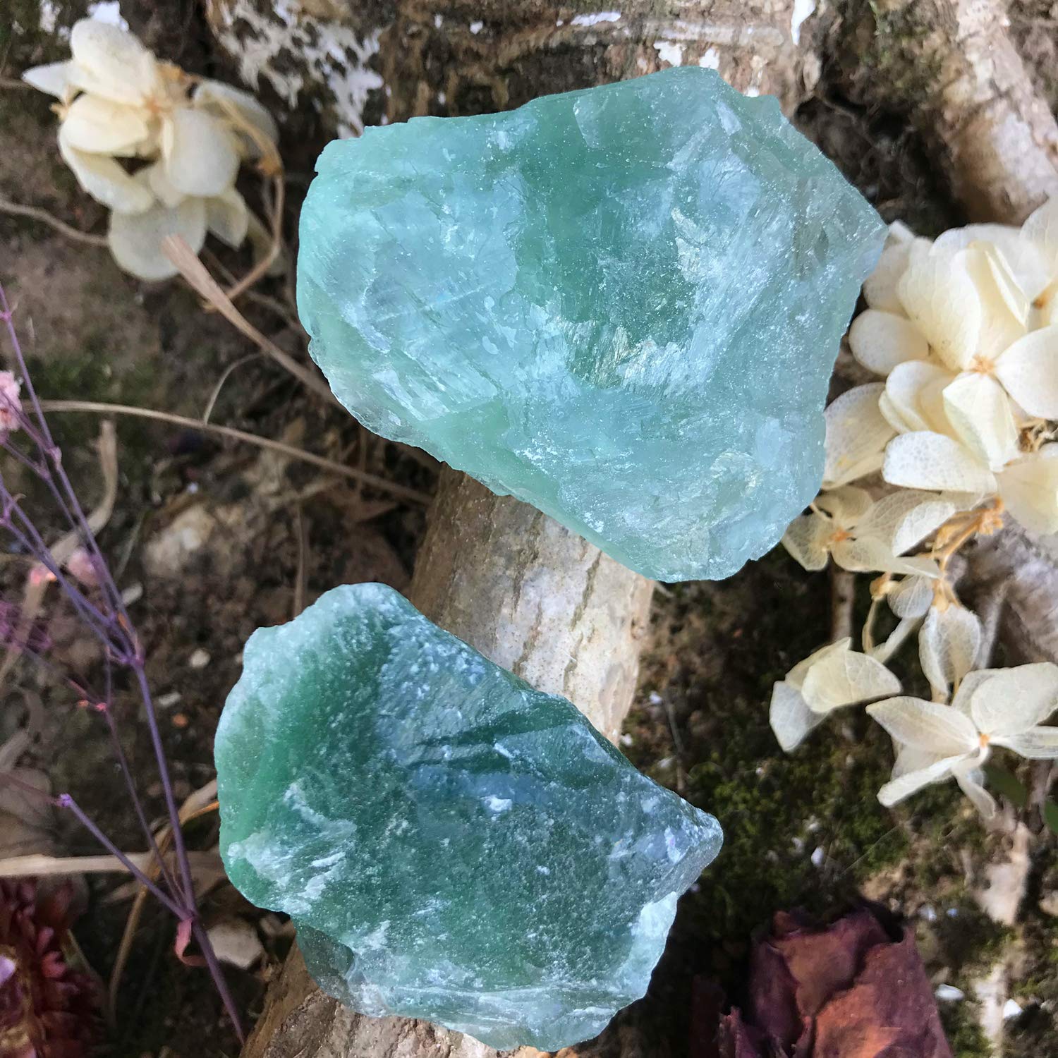 Zenkeeper 1Lb Green Fluorite Crystal Rocks Raw Stones for Tumbling, Green Natural Fluorite Crystals Bulk Rough Gemstone for Jewe