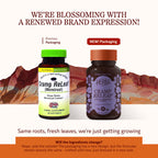 Herbs Etc. Cramp ReLeaf (Menstrual) - Abdominal Muscle Support - Herbal Supplement to Aid Menstrual Health - Period Cramp Suppor